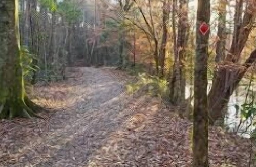 Talisheek RV Rental | Tentrr State Park Site - Louisiana Bogue Chitto State Park - Gorge Trail N - Sin