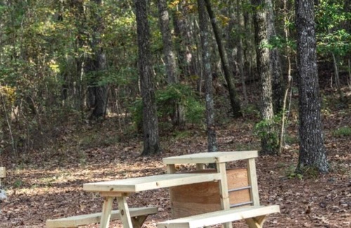 Morton RV Rental | Tentrr State Park Site - Mississippi Roosevelt State Park - Tall Trees A - Sing