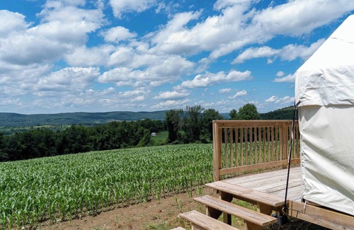 Copake Falls RV Rental | Tentrr State Park Site - NY Taconic State Park: High Valley Rd Site B