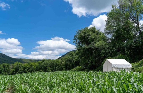 Copake Falls RV Rental | Tentrr State Park Site - NY Taconic State Park: High Valley Rd Site C