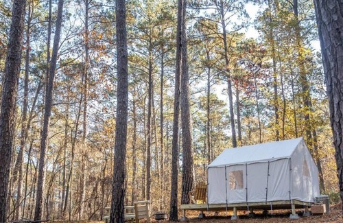 Quitman RV Rental | Tentrr State Park Site - Mississippi Clarkco State Park - Woodland B - Double Ca
