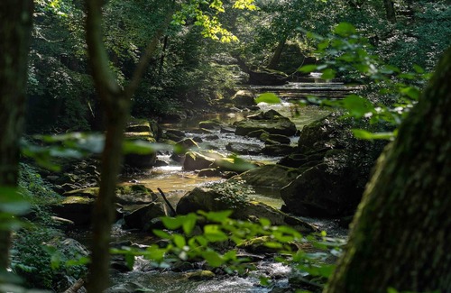 Ansted RV Rental | Tentrr State Park Site - WV Hawk's Nest State Park - Site C - Single Camp