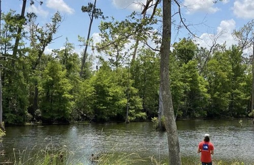 Lake Charles RV Rental | Tentrr State Park Site - Louisiana Sam Houston Jones State Park - Lagoon View G