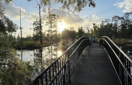 Lake Charles RV Rental | Tentrr State Park Site - Louisiana Sam Houston Jones State Park - Woodland I Sin