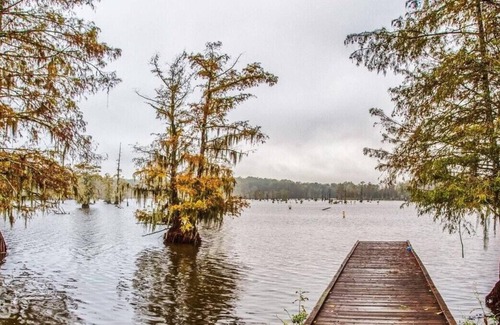 Saint Landry RV Rental | Tentrr State Park Site - Louisiana Chicot State Park - Site H - Single Camp