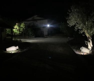 Sant'Elia Fiumerapido Bed & Breakfast | Tenuta degli Uliveti