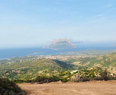 Loiri Apartment | Tenuta Eike