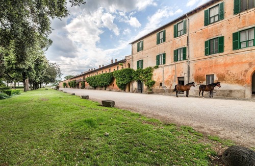 Borghesiana Apartment | Tenuta Pantano Borghese - Apartment 16
