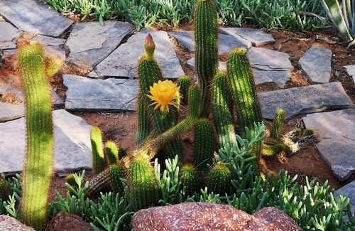 Namibia House | Terra Rouge Guestfarm & Sonstraal Farmhouse