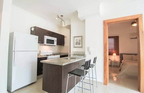 Downtown Santo Domingo Apartment | Terrace Apartment In City Center Santo Domingo + Free Parking and Gym ✔️