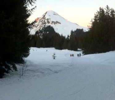 Le Praz de Lys Apartment | Terrasses Du Mont Blanc