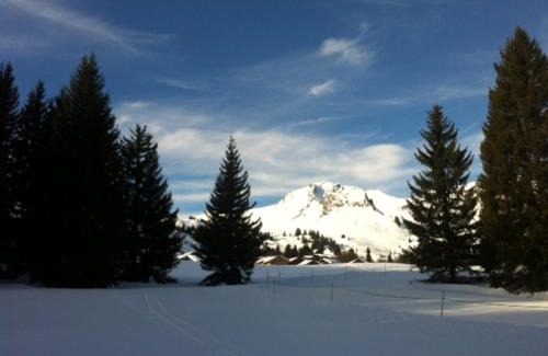 Le Praz de Lys Apartment | Terrasses Du Mont Blanc