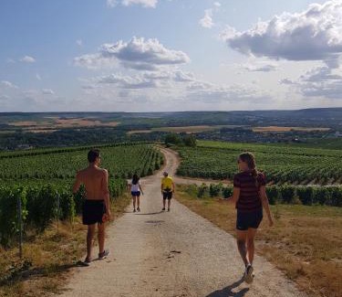 Avenay-Val-d'Or Bed & Breakfast | Terres Jaunes