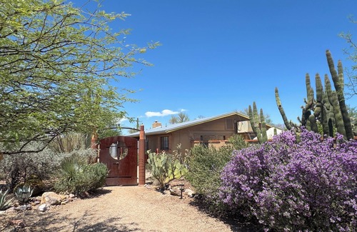Tucson House | Territorial Style Sonoran Desert Home