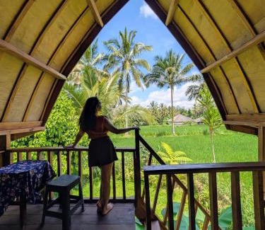 Tetebatu House | Tetebatu Rice field bliss