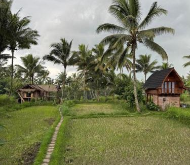 Tetebatu House | Tetebatu Rice field bliss