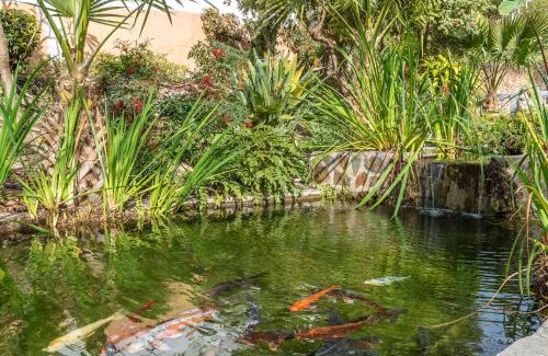 Oasis del Capistrano Apartment | Tetuan 43 - Oasis Properties