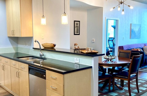 MacGregor Apartment | Texas Medical Center Apt.- Modern 2 Bed-2 Bath: Wifi-Gym-Pool-Safe Bldg.