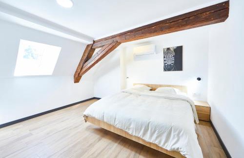 Thann Apartment | TH 202 Charmant duplex F4 au 2ème étage - 7 personnes