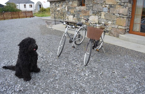 Aisgernis Cottage | Thatched Cottage near Daliburgh, Fully kitted kitchen, Out house drying room,