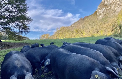 Aspin-en-Lavedan Bed & Breakfast | The 2-person suite