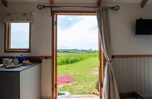 Bridport Cabin | The Acorn - A bespoke handmade oak shepherd's hut