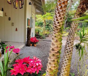 Volcano House | The Alala at Stained Glass Cottages