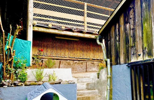 Urbes House | The Alsace refuge At the foot of the Vosges mountains animals welcome