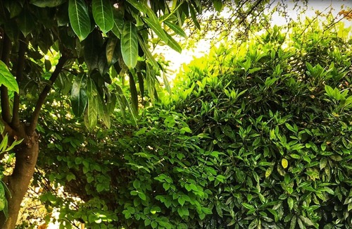 Eu House | The Annex, bed and breakfast in the heart of the city, close to the sea