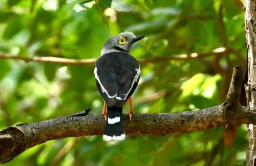 Victoria Falls Apartment | The Art House Victoria Falls