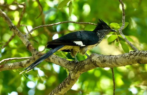 Victoria Falls Apartment | The Art House Victoria Falls