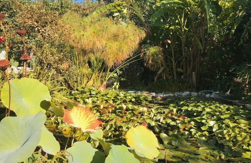 Aigialeia Cottage | The Artist's Farm-maisonette Dir/trains/Ath/Airpor ☀️ ⛱️