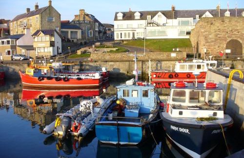 Seahouses House | The Bakehouse Guest Suites Room Only Accommodation
