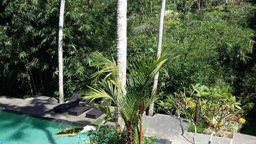 Kutuh Kaja Resort | The Bali Shanti