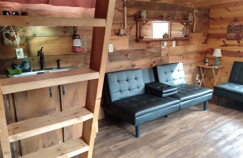 Robbinsville Cabin | The Barn House on US 129 The DRAGON 🐲 2 hammocks firepit/grill,picnic table :)