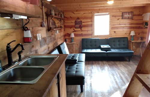 Robbinsville Cabin | The Barn House on US 129 The DRAGON 🐲 2 hammocks firepit/grill,picnic table :)