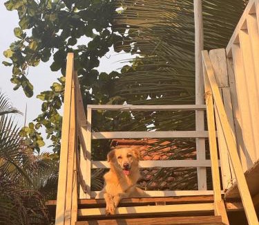 Patnem Resort | The beach resort goa