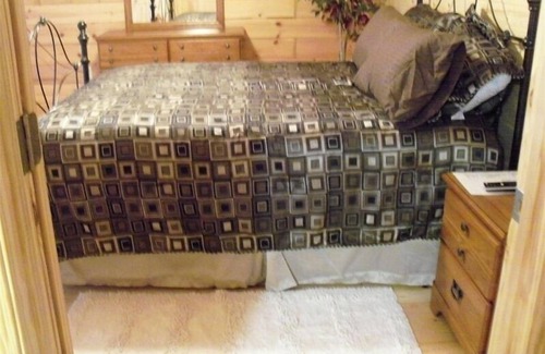 Oneida Cabin | 'The Bear's Den' , Secluded, Upscale Cabin, 3 BR, 2 BA