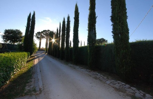 Marsciano Other | The best place, The Best Price!