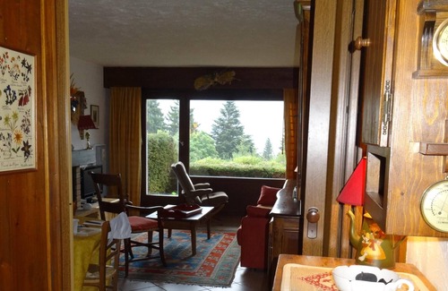 Le Bettex Apartment | THE BETTEX 1450m Near the slopes 2 rooms 2/6 people, Lounge overlooking Mont Blanc