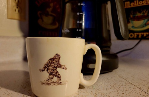 Twain Harte Cabin | The Bigfoot Lodge - Winter Fun! Game Room, Walk to Downtown, CLEAN Cozy