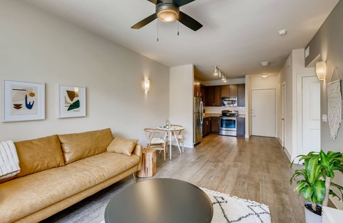 North Burnet House | The Bindel: The Domain, Amazing Location- All bills Paid + Pet Friendly