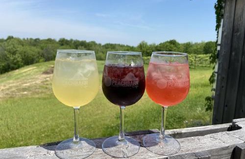 Alto Pass House | The Bitty House