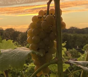 Alto Pass House | The Bitty House