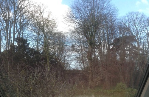 Esperance-Cottages House | The Blue Green House in the heart of Saint-Malo