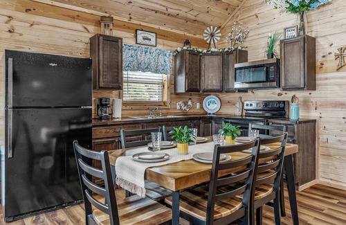 Dennis Cabin | The Blue Iris Cabin on Lake Granbury