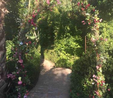 Palmhurst House | The Bryan House, Where History & Nature Meet!