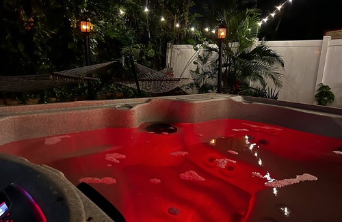 Palms House | The Bungalow - Near Historic Downtown Fort Myers