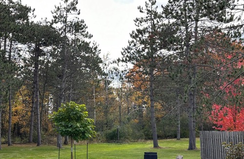 Ladysmith Apartment | The Bunkhouse, cozy studio in adorable Ladysmith. Escape to the Northwoods!