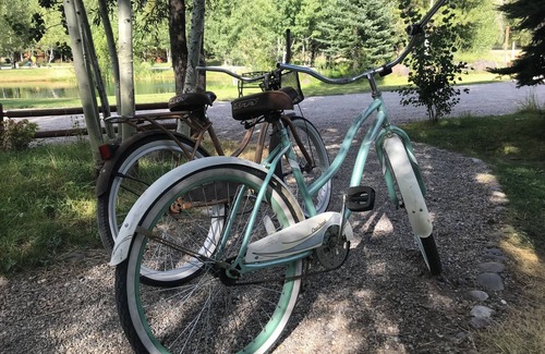 Idaho Falls Cabin | “The Bunkie” sleeps 6 in Ririe, has AC